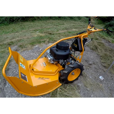 AS-Motor AS 65 Scout